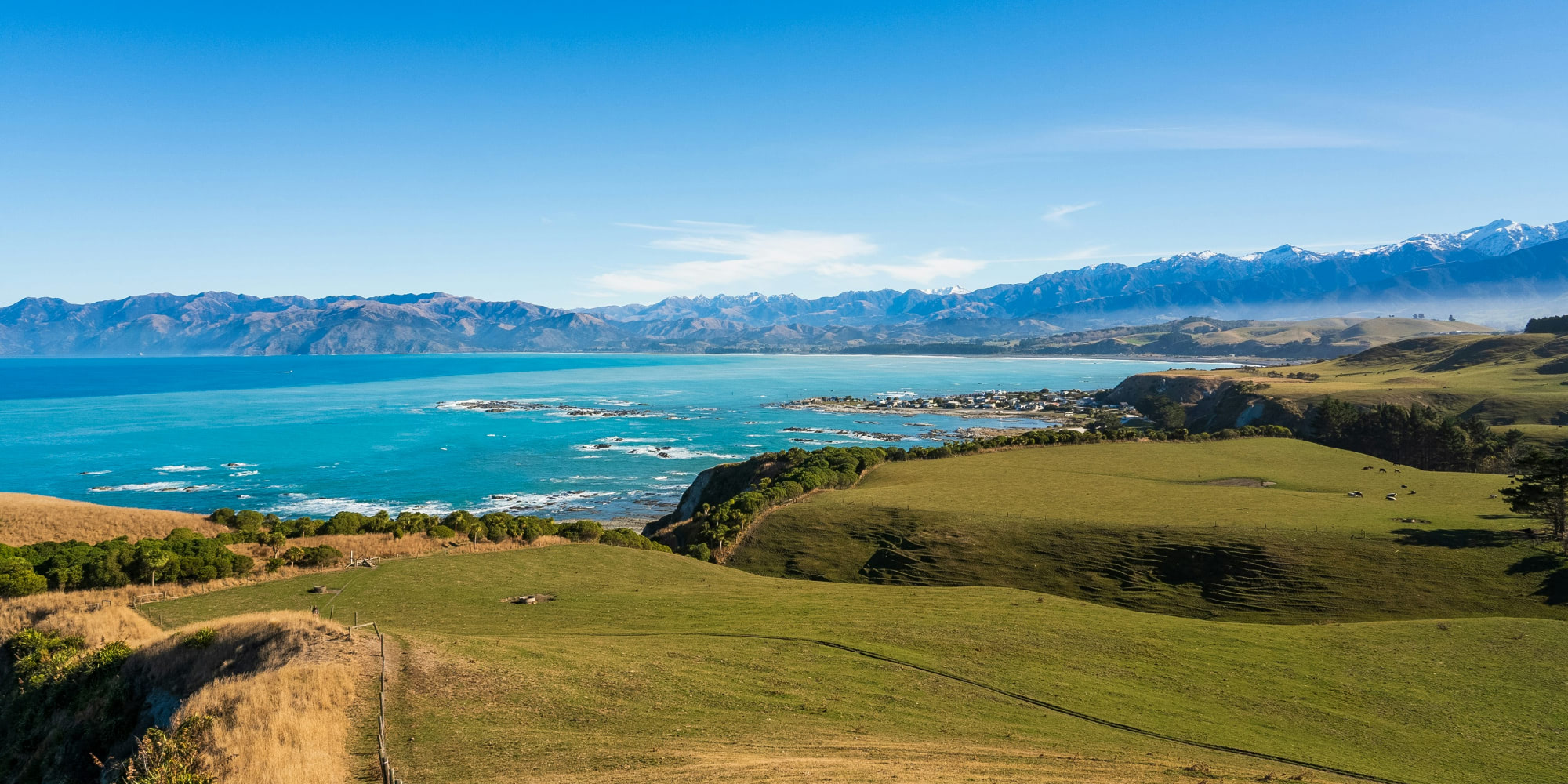 Scenic view of a coastal landscape in New Zealand featuring rolling green hills, a turquoise blue ocean, and a backdrop of majestic snow-capped mountains under a clear blue sky.